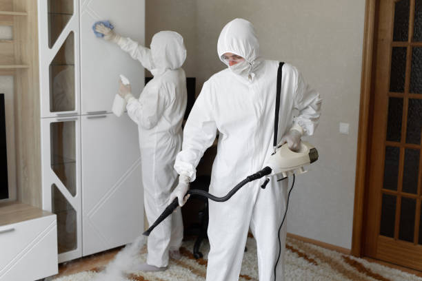 Affordable Sewage Cleanup solutions in Mount Holly, NJ