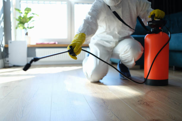 Reliable Sewage Cleanup contractor in Mount Holly, NJ by Trauma Clean Pros